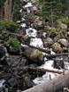 Early morning view of Calypso Cascades, Wild Basin, RMNP