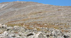 View of rocky slopes above SE Ridge to the summit of Mount Audubon, Indian Peaks Wilderness Area