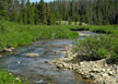 Shot looking up the Cache la Poudre River, 6 miles from the trailhead