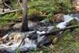 One of many small streams in Comanche Peak Wilderness