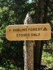 Goblins Forest camping area along Longs Peak Trail, Rocky Mountain National Park, Colorado