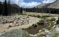 Wide washed out section of the Roaring River just below Lawn Lake