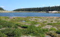 View looking back across Lawn lake from the northwest end