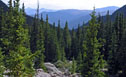 View looking back down the mountains from the trail below Lawn Lake