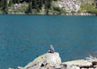 Suzy relaxing on a rock along the SW shore of Mirror Lake