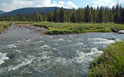 Convergence of the Cache La Poudre River and the La Poudre Pass Creek
