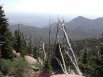 Looking out toward Colorado Springs from between Barr Camp and Timberline Shelter, on the Barr Camp trail
