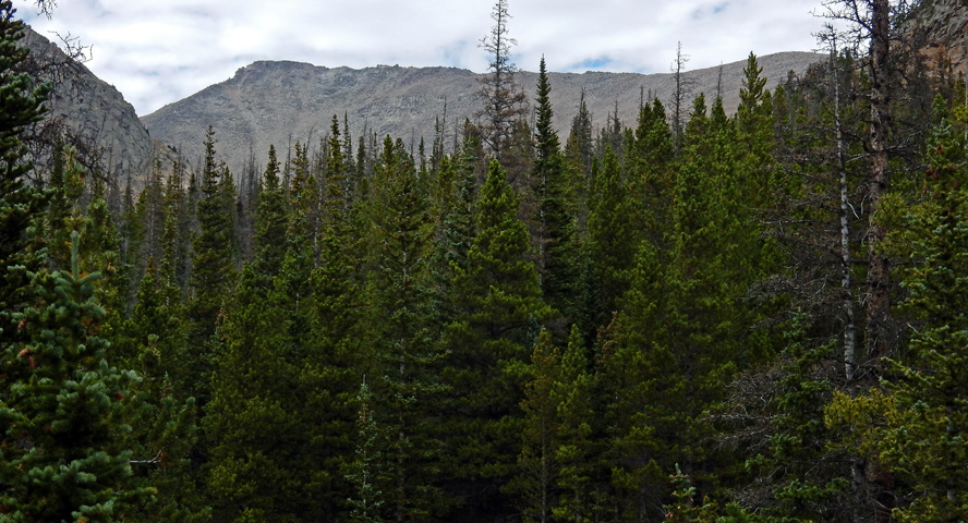 Distant view of Hagues Peak from the Lawn Lake Trail