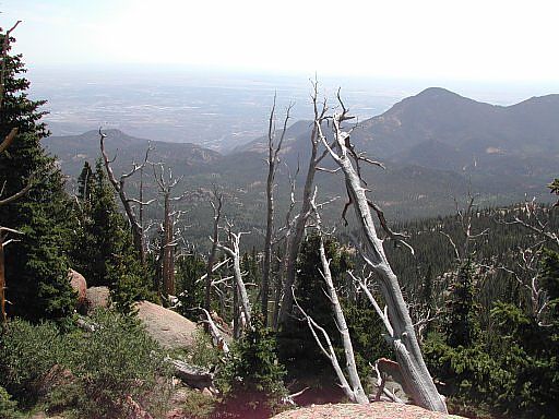 Looking out toward Colorado Springs from between Barr Camp and Timberline Shelter, on the Barr Camp trail