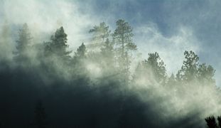 Wind and snow in Young’s Gulch, Poudre Canyon, Colorado